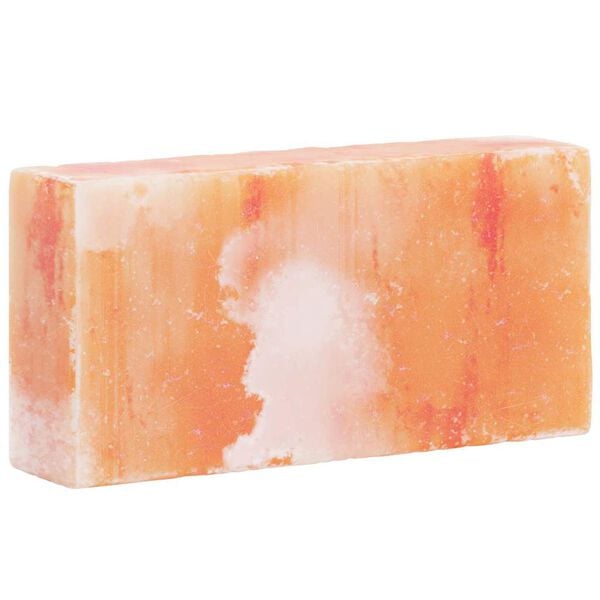 vidaXL Pierre de Sel 10 pcs Rose 20 x 5 x 10 cm Sel de Roche