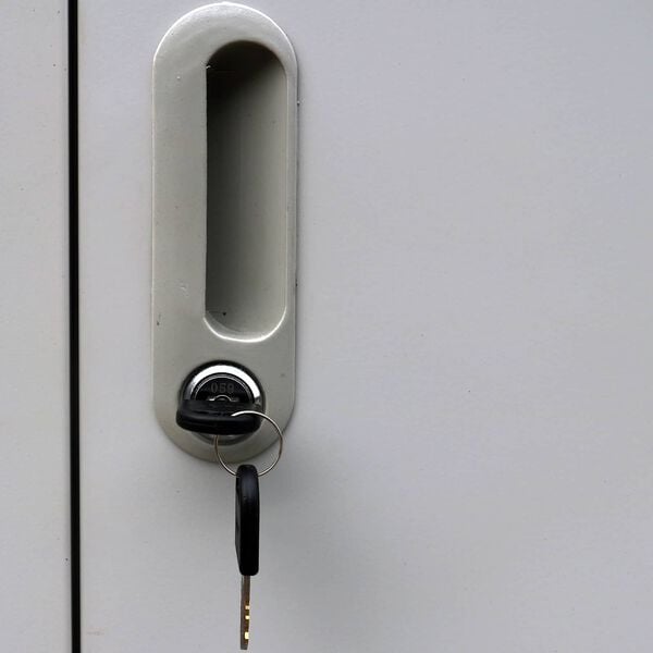 vidaXL Armoire &agrave; casiers Gris 45 x 90 x 180 cm