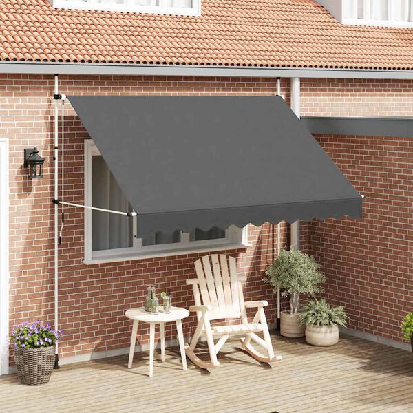 vidaXL Auvent manuel rétractable 300 cm Anthracite
