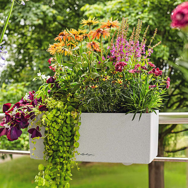 LECHUZA Jardinière BALCONERA Stone 50 ALL-IN-ONE Blanc quartz