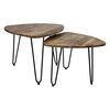 HSM Collection Ensemble de tables basses 2 pcs Dexter