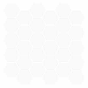 vidaXL Carreau hexagonal 20 pcs Blanc 30 x 30 cm Polyur&eacute;thane et PET