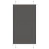vidaXL Store pliss&eacute; noir 75x100 cm largeur du tissu 74,4 cm polyester