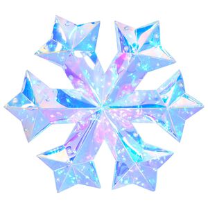 vidaXL Flocon de neige LED prismatique et iris&eacute; Multicolore
