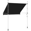 vidaXL Auvent manuel r&eacute;tractable 250 cm Anthracite