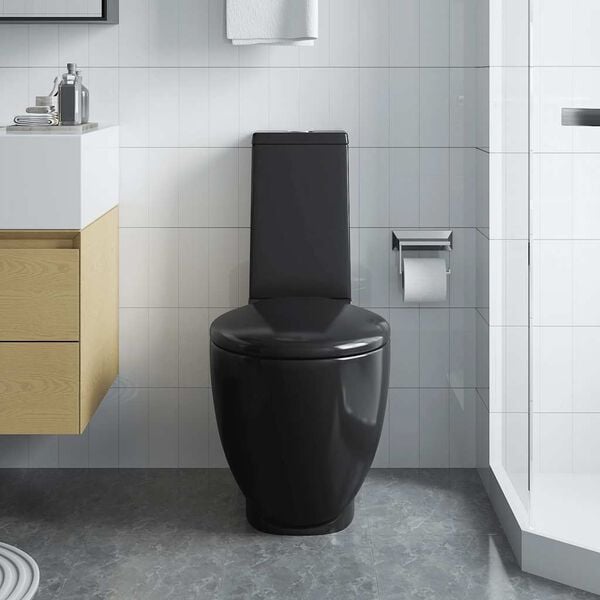 vidaXL Toilette en c&eacute;ramique &eacute;coulement d'eau &agrave; l'arri&egrave;re noir