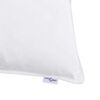 vidaXL Oreiller avec oreiller 2 pcs Blanc 40 x 80 cm Plume