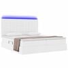 vidaXL Lit avec rangement et LED Blanc pur 200 x 200 cm Simili cuir