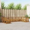vidaXL Ensembles de canap&eacute;s 10 pcs Naturel Bois d'Acacia Massif
