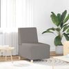 vidaXL Unit&eacute; de Sofa Modulaire Sans Accoudoirs 2 pcs Taupe