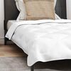 vidaXL Ensemble de Duvet avec oreiller 2 pcs Blanc Microfibre