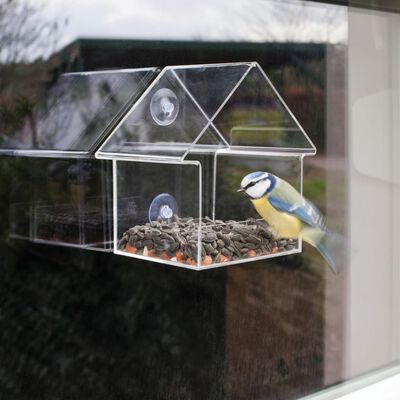 Mangeoire à oiseaux, mangeoire à oiseaux en plein air avec fenêtre  transparente avec