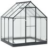 vidaXL Serre de jardin avec porte Anthracite 183,5 x 183,5 x 207 cm
