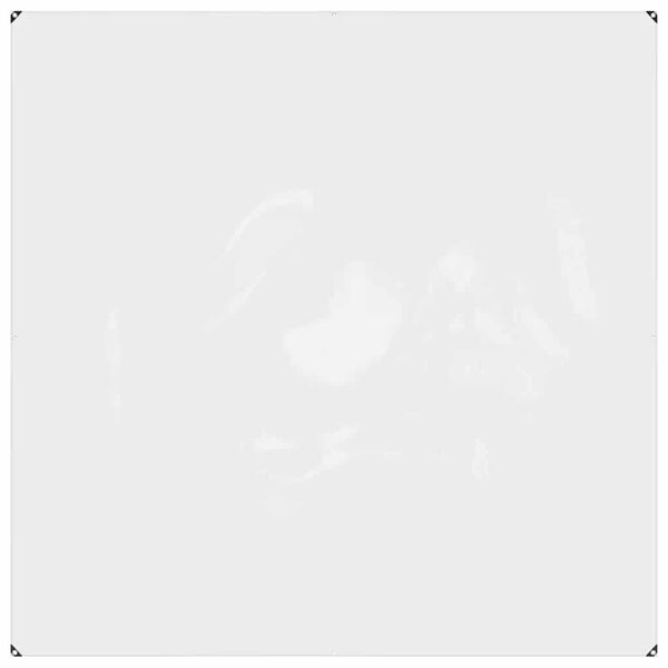 vidaXL B&acirc;che transparente avec &oelig;illets 2 x 2 m PVC