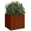 vidaXL Jardini&egrave;res 2 pcs 49x47x46 cm acier corten