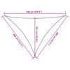 vidaXL Voile d'ombrage 160 g/m&sup2; Anthracite 4x4x5,8 m PEHD
