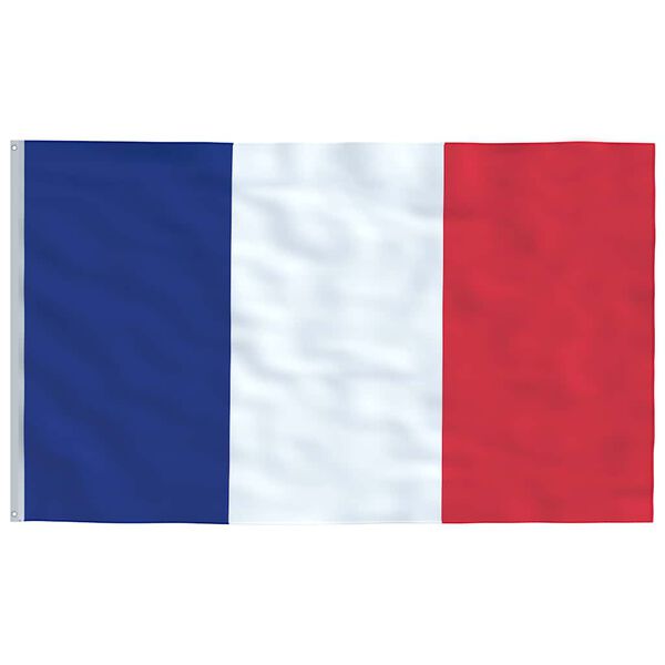 vidaXL Drapeau de la France et m&acirc;t 6,08 m Aluminium