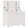 vidaXL Boîte de rangement Blanc 60x32x45,5 cm Bois massif de pin