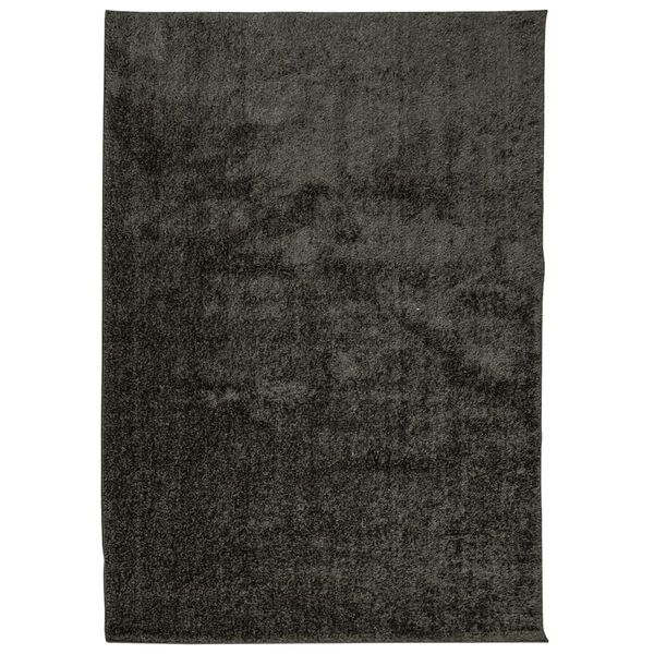 vidaXL Tapis ISTAN &agrave; poils longs aspect brillant anthracite 120x170 cm