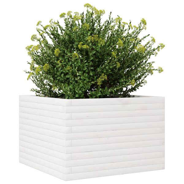 vidaXL Jardinière blanc 70x70x45,5 cm bois de pin massif
