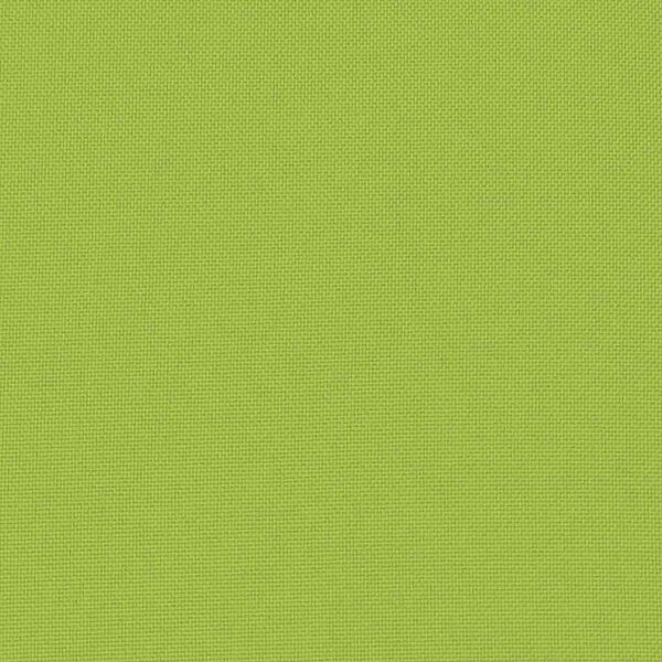 vidaXL Oreiller d'ext&eacute;rieur lot de 2 60 x 40 cm Vert pomme