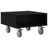 Black_oak
