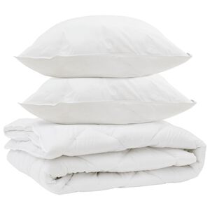 vidaXL Duvet toutes saisons avec oreiller 3 pcs Blanc Microfibre