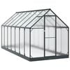 vidaXL Serre de jardin avec porte Anthracite 183,5 x 423,5 x 207 cm