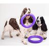Ferplast Outil de fitness pour chiens Puller Standard Violet 2 pcs