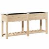 vidaXL Cache-pot de jardin avec &eacute;tag&egrave;re Beige 161 x 43 x 76,5 cm