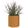vidaXL Jardinière Rouillé 40x40x45 cm Acier corten