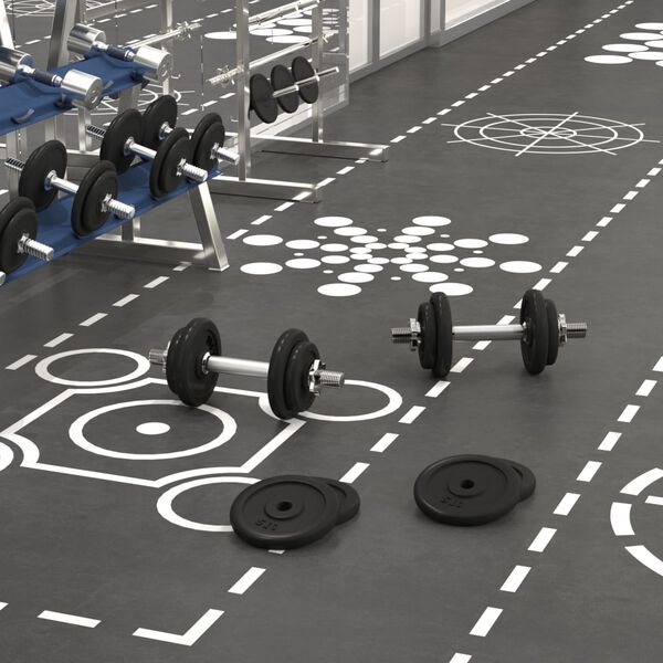 vidaXL Ensemble d'haltères avec plaques 40 kg fonte et acier chromé