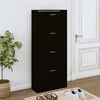 vidaXL Armoire &agrave; chaussures Noir 63x24x147 cm Bois d'ing&eacute;nierie