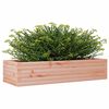 vidaXL Jardini&egrave;re 110x40x23 cm bois massif douglas