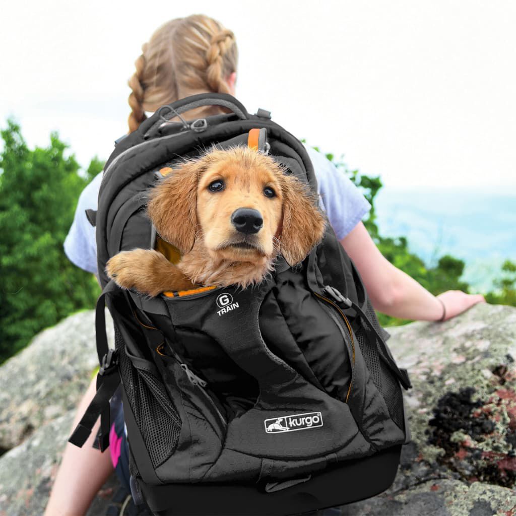 Sac a dos pour chien deals