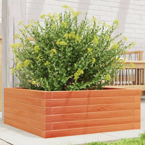 vidaXL Jardini&egrave;re cire marron 60x60x23 cm bois de pin massif