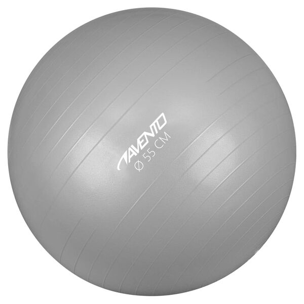 Avento Ballon de fitness/d'exercice Diam&egrave;tre 55 cm Argent&eacute;
