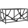 vidaXL Table basse avec dessus en verre noir 78,5x40x41 cm acier