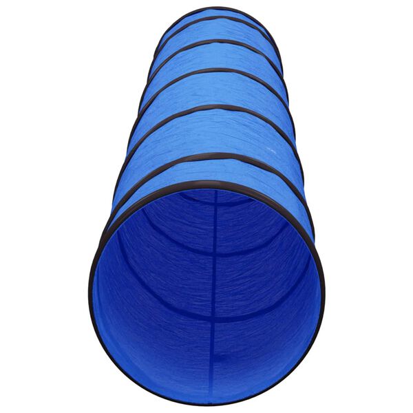 vidaXL Tunnel pour chien bleu Ø 40x200 cm polyester