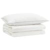 vidaXL Ensemble de couette 90 % en duvet d&rsquo;oie FULDA 2 pc 152 x 203 cm