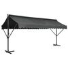 vidaXL Auvent sur pied 500 x 300 cm Anthracite