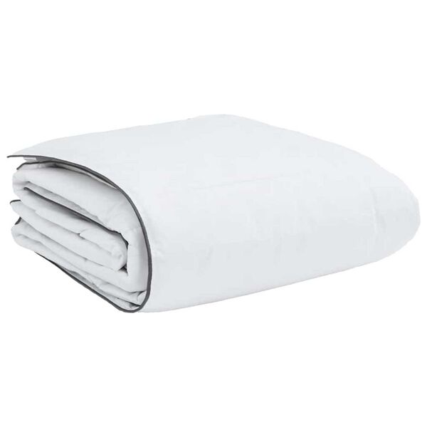 vidaXL Duvet d'hiver Blanc 240 x 260 cm Plume