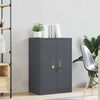 vidaXL Armoire de rangement Anthracite 60 x 40 x 90 cm Acier