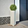 Vignette du produit 2 sur 12