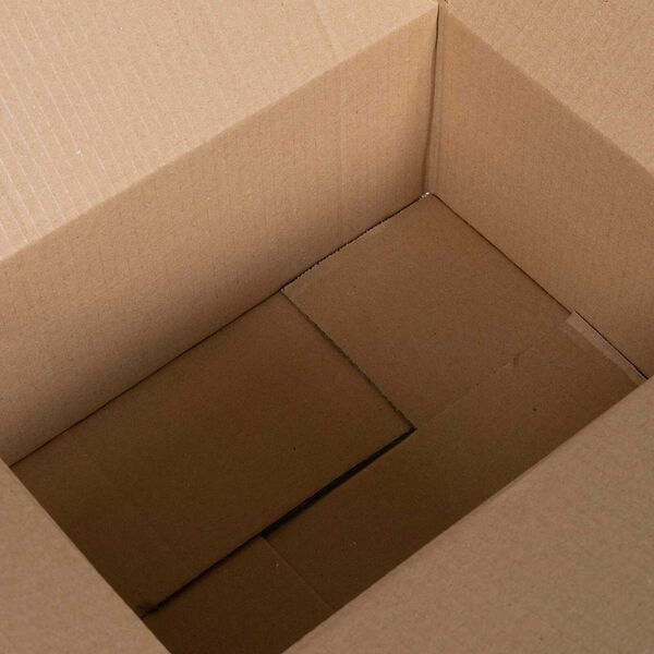 vidaXL Bo&icirc;te Pliable 50 pcs Naturel 30 x 21,5 x 14 cm Carton