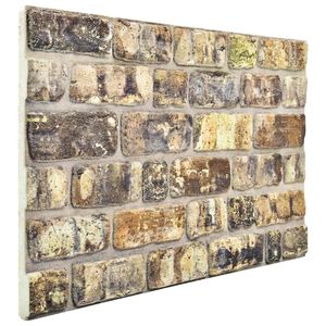 vidaXL Panneaux muraux 10 pcs Multicolore 100 x 50 cm Mousse EPS
