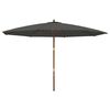vidaXL Parasol de jardin avec m&acirc;t en bois anthracite 400x273 cm