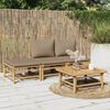 vidaXL Salon de jardin 4 pcs avec coussins taupe bambou