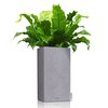 LECHUZA Jardini&egrave;re CANTO Stone 40 High ALL-IN-ONE Gris pierre