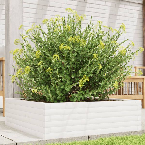 vidaXL Jardini&egrave;re blanc 80x80x23 cm bois de pin massif